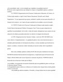 EL DESARROLLO GLOBAL