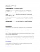 Practica de granulado