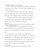 DESCRIPCIÓN DEL PROYECTO Y ACTIVIDADES