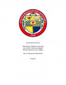 Modelo de Documentacion de proyecto