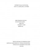 INFORME DE SALUD OCUPACIONAL VISITA A LA LADRILLERA EL ALFARERO