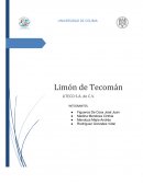 OBJETIVO MERCADO TECNICO