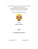 TEMA - SUBASTA DE DIVISAS