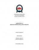 ENSAYO DE PERMEABILIDAD, CARGA CONSTANTE.
