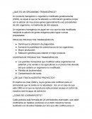 ¿Que es un organismo transgénico?