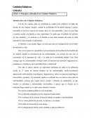 Principios y filosofía de los Cuidados Paliativo