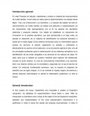 Se estudia, implementa y evalúa un sistema de reconocimiento de huella dactilar.
