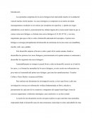 Embriología - Las anomalías congénitas