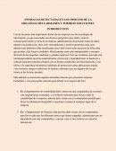 ANOMALIAS DETECTADAS EN LOS PROCESO DE LA ORGANIZACIÓN FARMAMEX Y POSIBLES SOLUCIONES