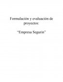 Control 7 formulacion y evaluacion de proyectos