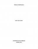 Mercados - Ofrecer un producto denominado “Spary Magic”