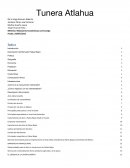 Relaciones Económicas con Europa