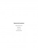 Control Sistema de Ecuaciones