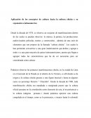 Aplicación de los conceptos de cultura hacia la cultura chicha y su expansión a latinoamerica