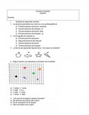 Examen bimestral Español