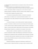 La complejidad desde la mirada latinoamericana: la propuesta de Alicia de Albo sobre la noción curricular