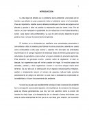 La tala ilegal de árboles un problema socio-ambiental