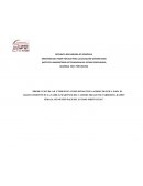 Produccion de aji y pimenton como estrategia agroecologica para el abastecimiento de la familia Martinez del Caserio Mijaguito