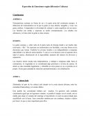 Expresión de las emociones según las diferentes culturas