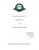 Mecanismo de transmisión de calor