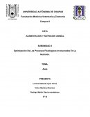 Características anatómicas y fisiológicas del aparato digestivo