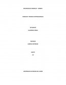 Cuáles son las diferencias culturales existentes entre las dos empresas?