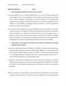 ANÁLISIS DE CONSUR, S.A CASO 2