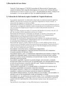 Valoracion Virginia Henderson