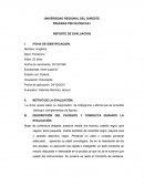 Ejemplo de evaluación de Raven para adultos