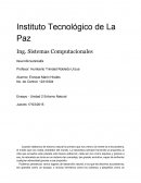 Ensayo - Unidad 2 Entorno Natural