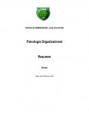 Resumen de la Psicología Organizacional