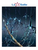 MONOGRAFÍA SISTEMA NERVIOSO