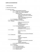 GUIÓN PLAN DE MARKETING