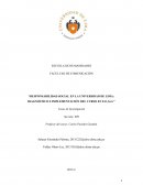 Responsabilidad social en la Universidad de Lima: diagnóstico e implementación del curso en E.E.G.G.