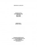 CREACION DE LA BICICLETA