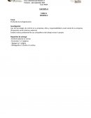 El Mundo de la Organización.