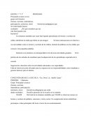 Concentrado de escuela