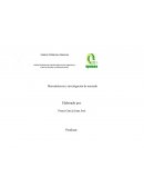 Mercadotecnia e investigación de mercado