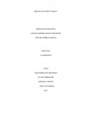 En este escrito se encuentra plasmado todo el desarrollo, esfuerzo puesto y dirigido hacia la creación del robot sumo ``osaga``, además se encontrara una bitácora diaria de su desarrollo con sus respectivos materiales e investigaciones realizadas.
