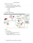Hiper tension arterial