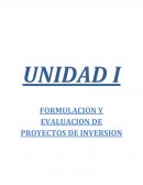 UNIDAD I FORMULACION Y EVALUACION DE PROYECTOS DE INVERSION