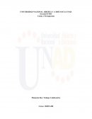 Costos y Presupuestos. Historia y Evolución