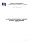 MANEJO DE PRÀCTICA AGROECOLÒGICA EN CULTIVOS DE HORTALIZAS DIRIGIDO A LOS ESTUDIANTES DE PRIMER AÑO DEL LICEO NACIONAL MONSEÑOR BERNABE VIVAS