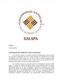 Portocolo de subrogacion