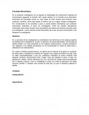 La estrategia metodológica.