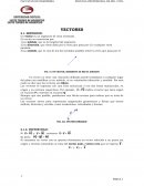 ANALISIS VECTORIAL DEFINICION