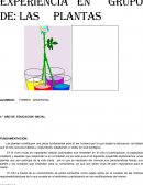 Planificación de planta