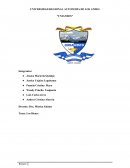 Tributaccion Los Bienes