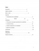 Antecedentes (de la contabilidad