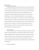 Ideario Bolivariano Proceso popular y coyuntura historica